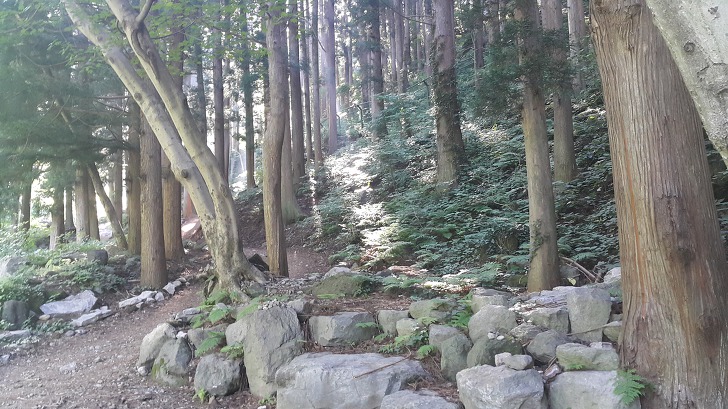 <울릉도 도동 "봉래폭포"> 울릉도 가볼만한곳. 쏟아지는 햇살과 함께 봉래폭포 구경하기. 작업 사진 6