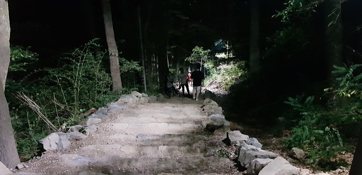 <대구 앞산 야간 등산> 안지랑골체육공원, 안일사, 앞산전망대 코스 작업 사진 10