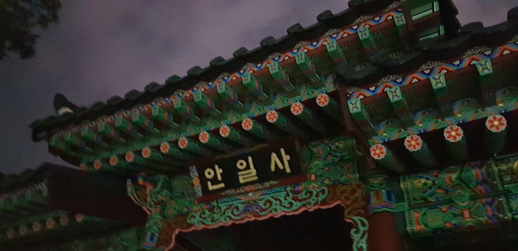 <대구 앞산 야간 등산> 안지랑골체육공원, 안일사, 앞산전망대 코스 작업 사진 3