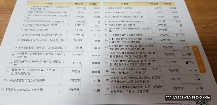 <갱신때마다 오르는 실비보험료> 보험료 줄이는 방법 작업 사진 3