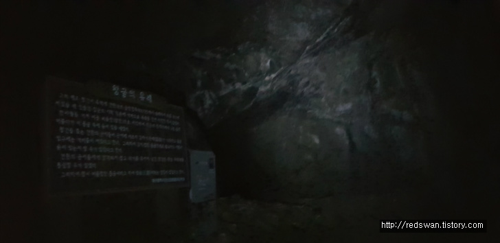 <대구 앞산 야간산행 \"청산유희\"> 왕굴코스 작업 사진 6