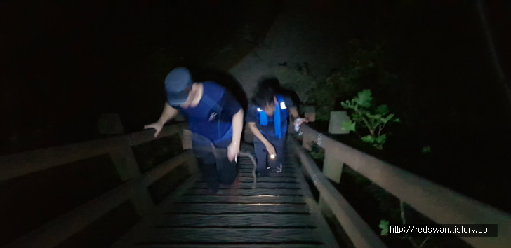 <대구 앞산 야간산행 \"청산유희\"> 왕굴코스 작업 사진 7