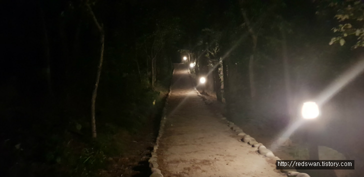<대구 앞산 야간산행 \"청산유희\"> 왕굴코스 작업 사진 15