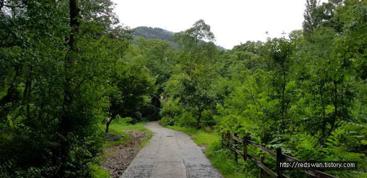 앞산 주간산행. 안지랑골체육공원에서 안일사, 앞산전망대 코스 작업 사진 2