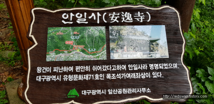 앞산 주간산행. 안지랑골체육공원에서 안일사, 앞산전망대 코스 작업 사진 4