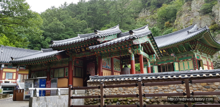 앞산 주간산행. 안지랑골체육공원에서 안일사, 앞산전망대 코스 작업 사진 5