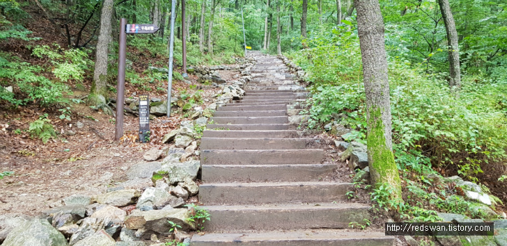 앞산 주간산행. 안지랑골체육공원에서 안일사, 앞산전망대 코스 작업 사진 9