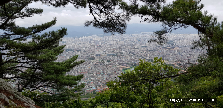 앞산 주간산행. 안지랑골체육공원에서 안일사, 앞산전망대 코스 작업 사진 10