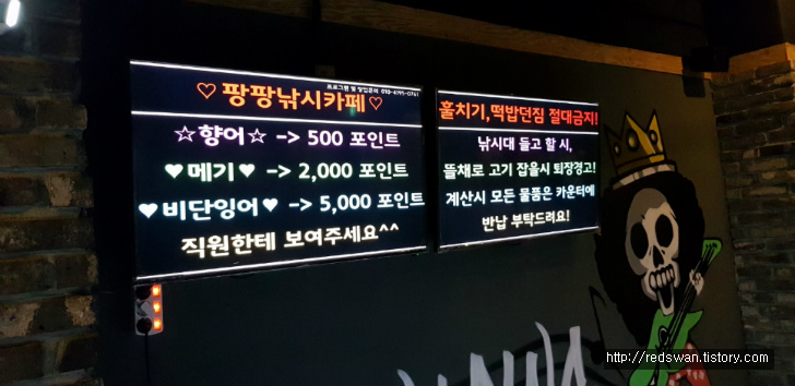 대구 두류동 광장코아 팡팡낚시카페. 실내에서 즐기는 낚시 작업 사진 4