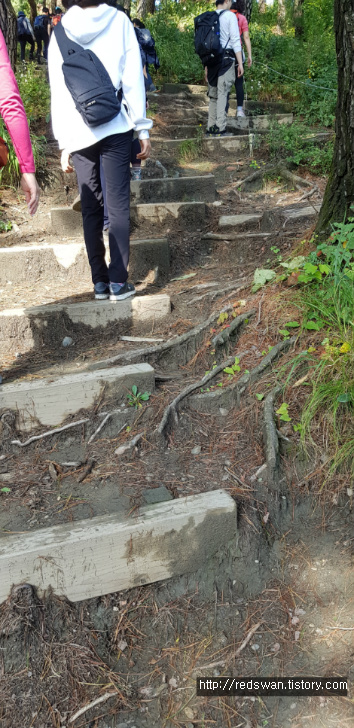 충북 괴산 산막이 옛길 산행 후기 작업 사진 12