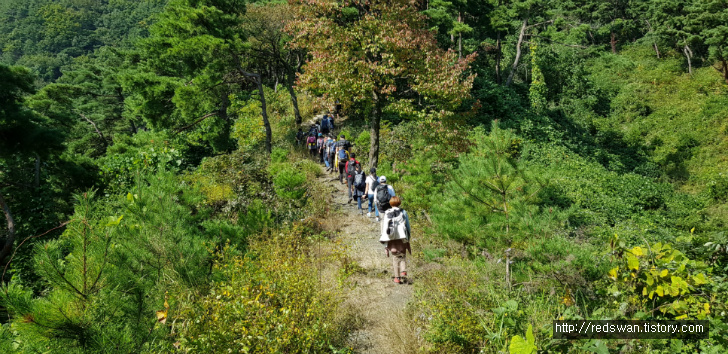 충북 괴산 산막이 옛길 산행 후기 작업 사진 13