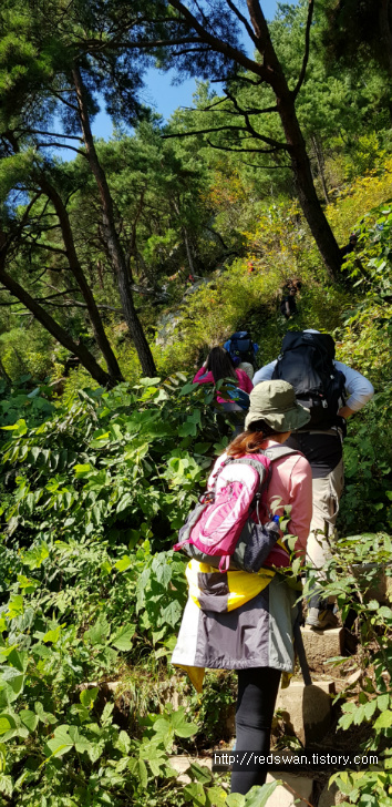 충북 괴산 산막이 옛길 산행 후기 작업 사진 18