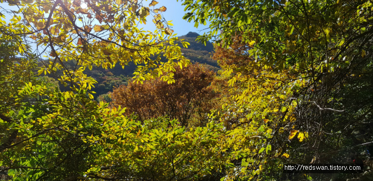 울주 간월산(신불산) 억새공원 산행 후기. 작업 사진 7