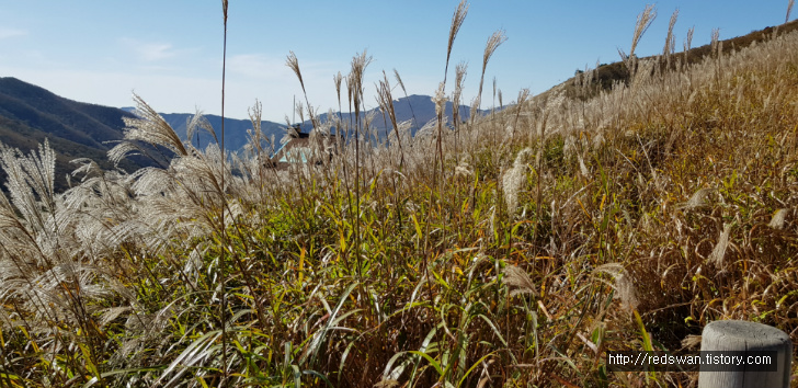 울주 간월산(신불산) 억새공원 산행 후기. 작업 사진 13