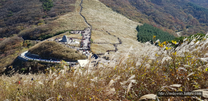 울주 간월산(신불산) 억새공원 산행 후기. 작업 사진 14