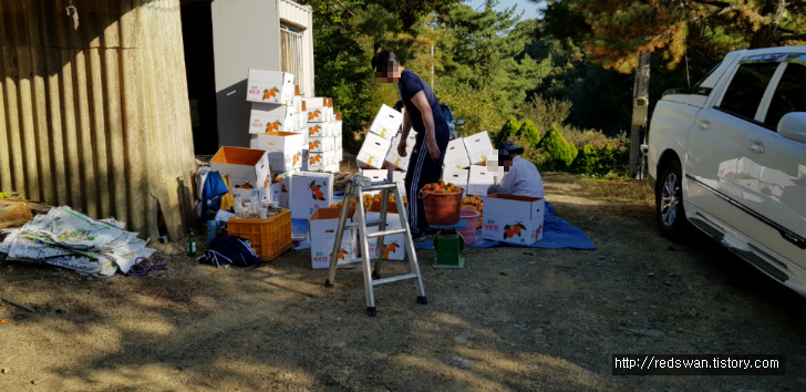 경산 와촌면 청암순대. 청암순대 위치 이전했네요. 작업 사진 2