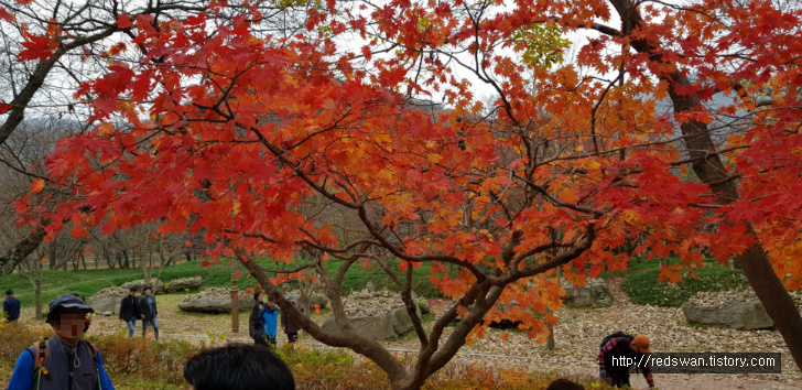 고창 선운산 선운사 단풍놀이. 10월달에 갔어야 했는디.. 작업 사진 3