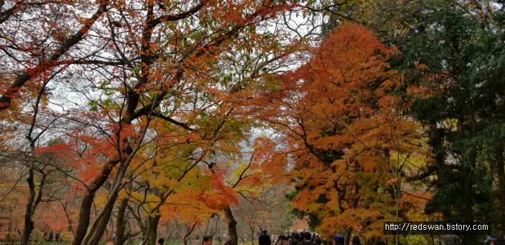 고창 선운산 선운사 단풍놀이. 10월달에 갔어야 했는디.. 작업 사진 7