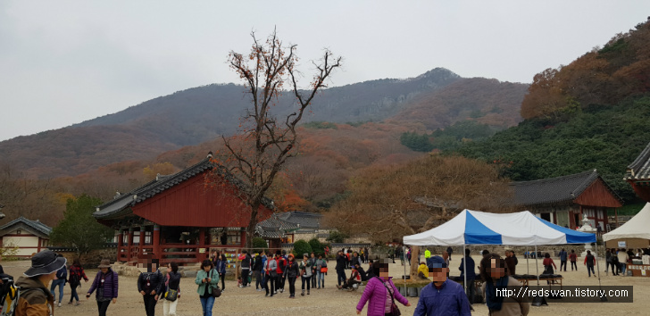 고창 선운산 선운사 단풍놀이. 10월달에 갔어야 했는디.. 작업 사진 10