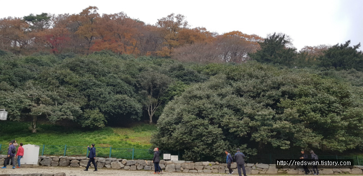 고창 선운산 선운사 단풍놀이. 10월달에 갔어야 했는디.. 작업 사진 13