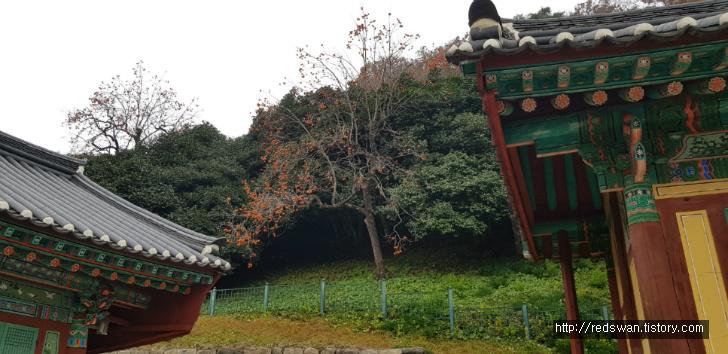 고창 선운산 선운사 단풍놀이. 10월달에 갔어야 했는디.. 작업 사진 14