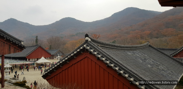 고창 선운산 선운사 단풍놀이. 10월달에 갔어야 했는디.. 작업 사진 15
