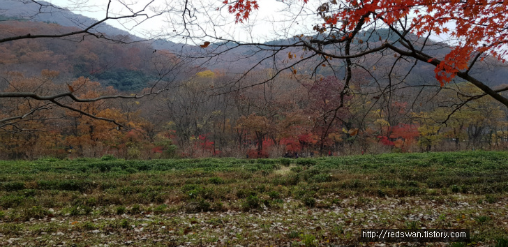 고창 선운산 선운사 단풍놀이. 10월달에 갔어야 했는디.. 작업 사진 27