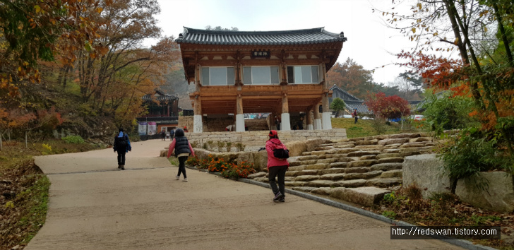 고창 선운산 선운사 단풍놀이. 10월달에 갔어야 했는디.. 작업 사진 30