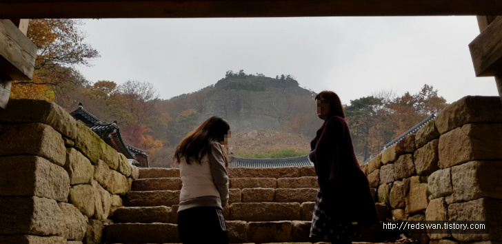 고창 선운산 선운사 단풍놀이. 10월달에 갔어야 했는디.. 작업 사진 31