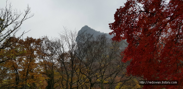 고창 선운산 선운사 단풍놀이. 10월달에 갔어야 했는디.. 작업 사진 33