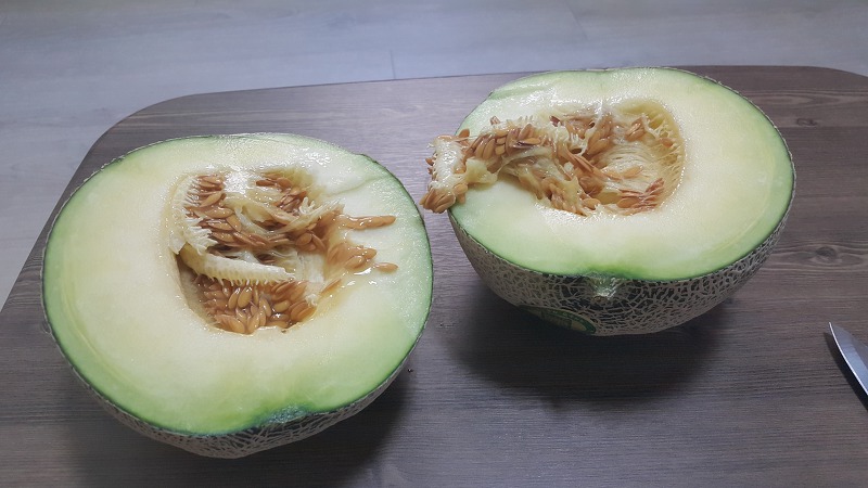 1일 1멜론 작업 사진 2