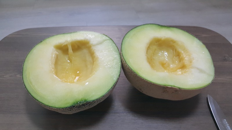 1일 1멜론 작업 사진 3