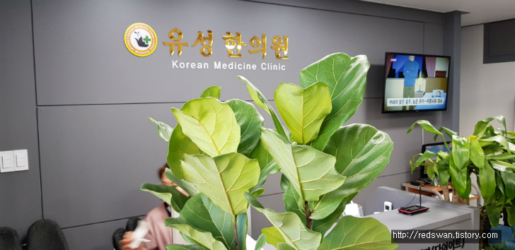 별점5/5점. 경산 하양 한의원 추천. 유성한의원. 허리삐끗. 어깨통증 팔 안 올라감. 작업 사진 2