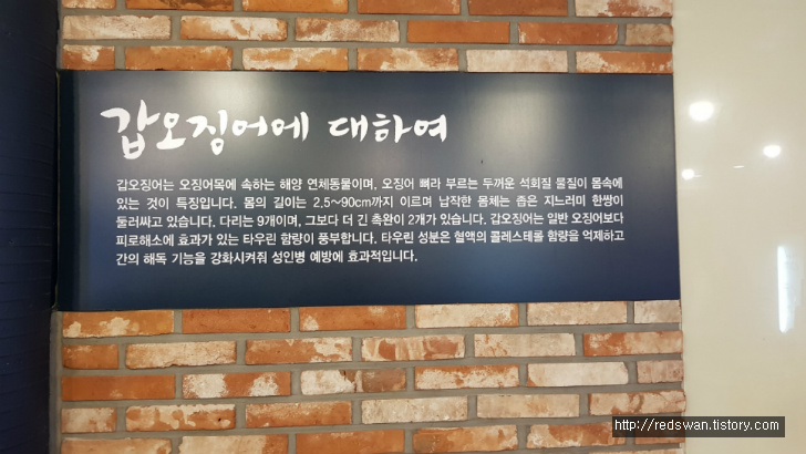 별점4/5점. 팔공산 맛집 매콤한 갑오징어가 맛있는 조가네갑오징어 작업 사진 3