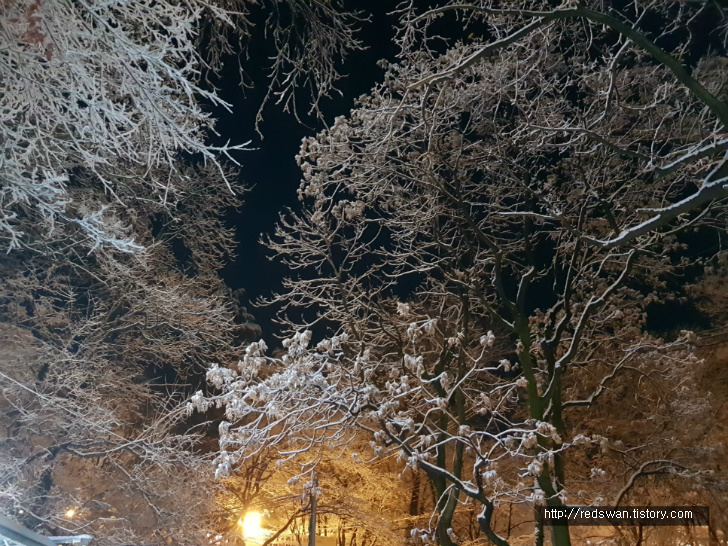간만에 내린 눈을 밟으며 앞산 전망대 오르기. 작업 사진 15
