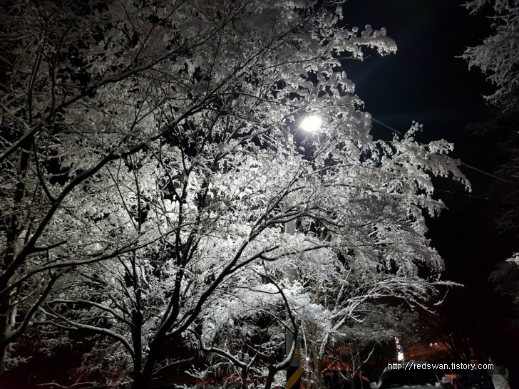 간만에 내린 눈을 밟으며 앞산 전망대 오르기. 작업 사진 16