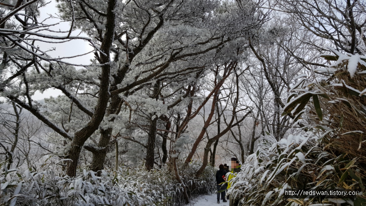 (전북 장수 장안산) 뜻하지 않은 설산 오르기 작업 사진 4