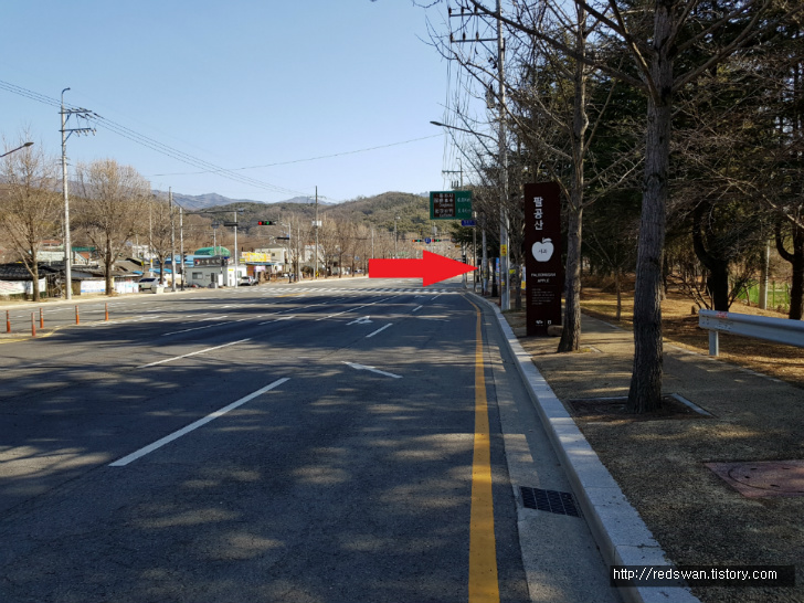 대구 팔공산 친환경 미나리 재배단지 청유농원. 미나리 판매. 작업 사진 2
