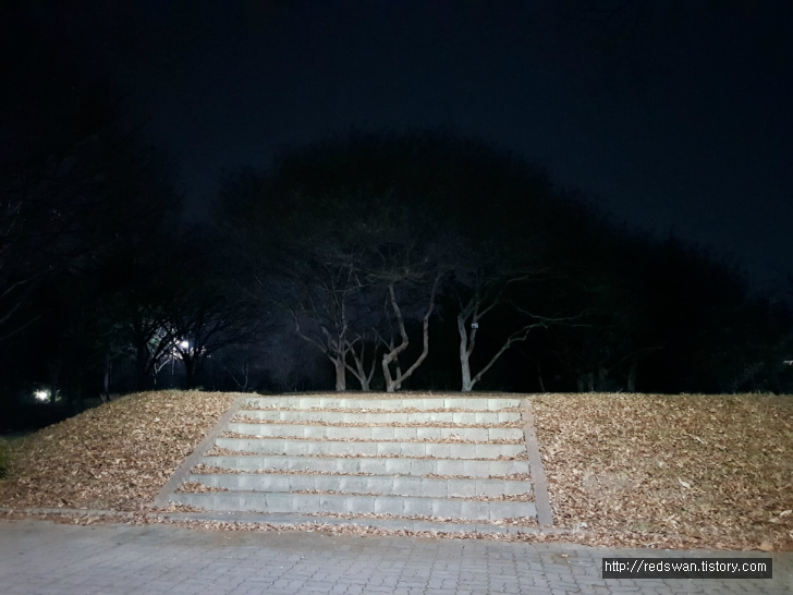 대구 북구 침산동 야경보기 좋은 곳. 침산공원. 침산정. 작업 사진 4