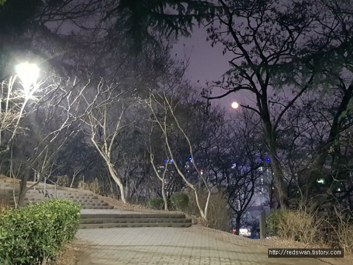 대구 북구 침산동 야경보기 좋은 곳. 침산공원. 침산정. 작업 사진 2