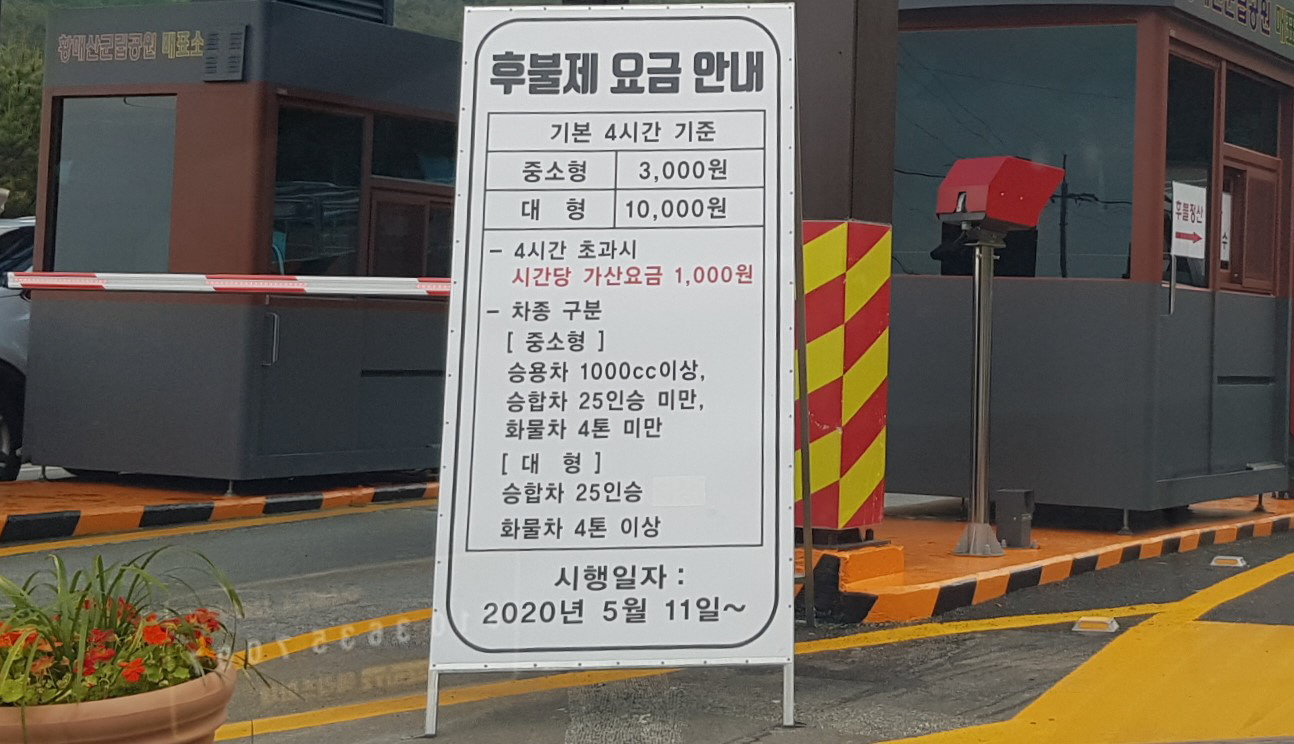 (5점) 5월 놓치면 안 되는 봄꽃 여행지 경남 합천 '황매산 철쭉' 작업 사진 4