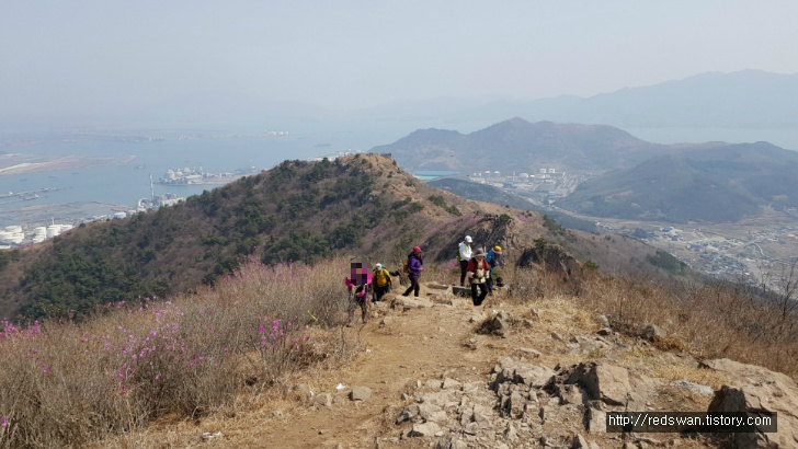 전남 여수 영취산 진달래 꽃놀이 작업 사진 18