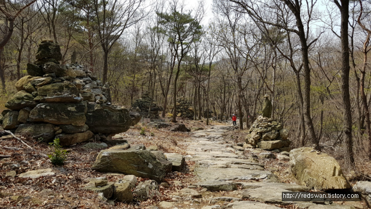 전남 여수 영취산 진달래 꽃놀이 작업 사진 20