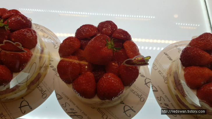 대구 시지 맛집. 지금까지 먹어본 빵집 중 최고! 데일리호스브라운. 작업 사진 10